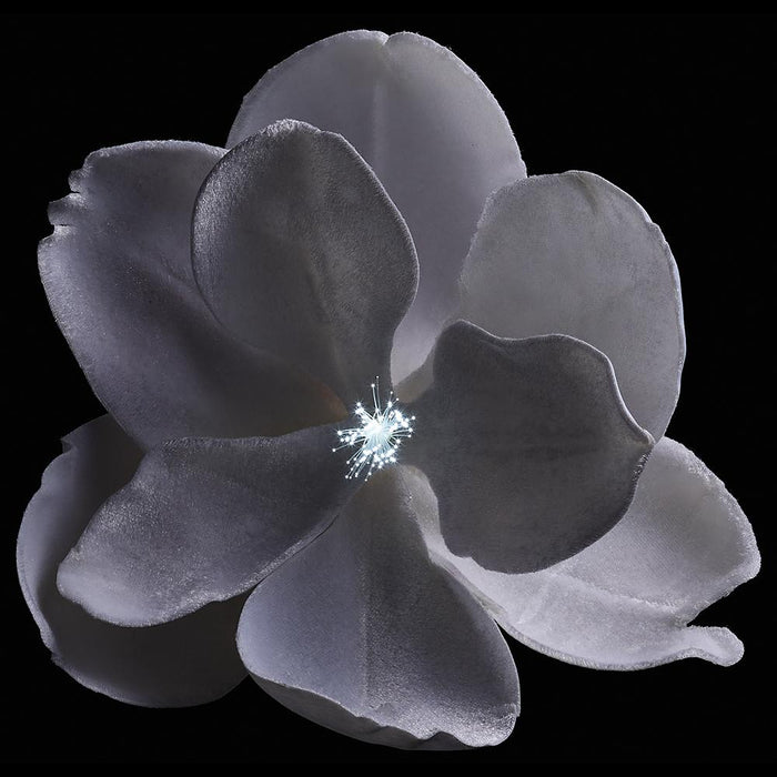 7" Velvet Magnolia Battery Operated Fiber Optic Light Artificial Clip-On Flower -White (Pack of 12) - XPH710-WH