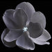 7" Velvet Magnolia Battery Operated Fiber Optic Light Artificial Clip-On Flower -White (Pack of 12) - XPH710-WH