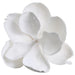 7" Velvet Magnolia Battery Operated Fiber Optic Light Artificial Clip-On Flower -White (Pack of 12) - XPH710-WH