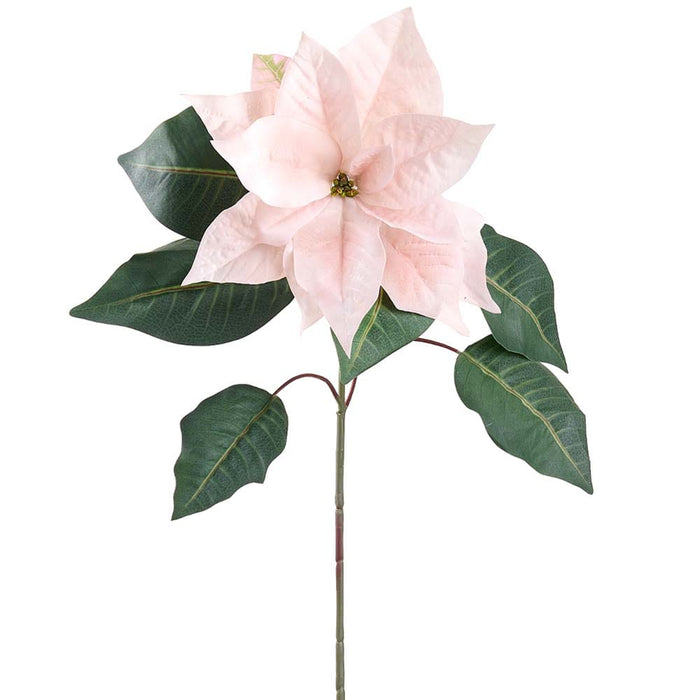 32" Velvet Poinsettia Artificial Flower Stem -Pink (Pack of 12) - XPS101-PK