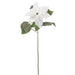 31" Poinsettia Artificial Flower Stem -White (pack of 12) - XPS110-WH