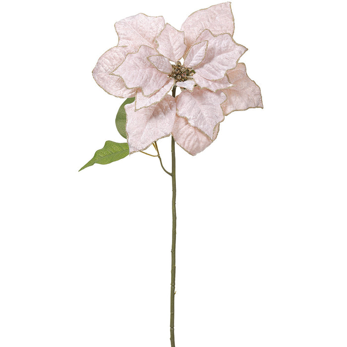 30" Glittered Velvet Poinsettia Artificial Flower Stem -Cream/Gold (Pack of 12) - XPS312-CR/GO