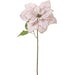 30" Glittered Velvet Poinsettia Artificial Flower Stem -Cream/Gold (Pack of 12) - XPS312-CR/GO