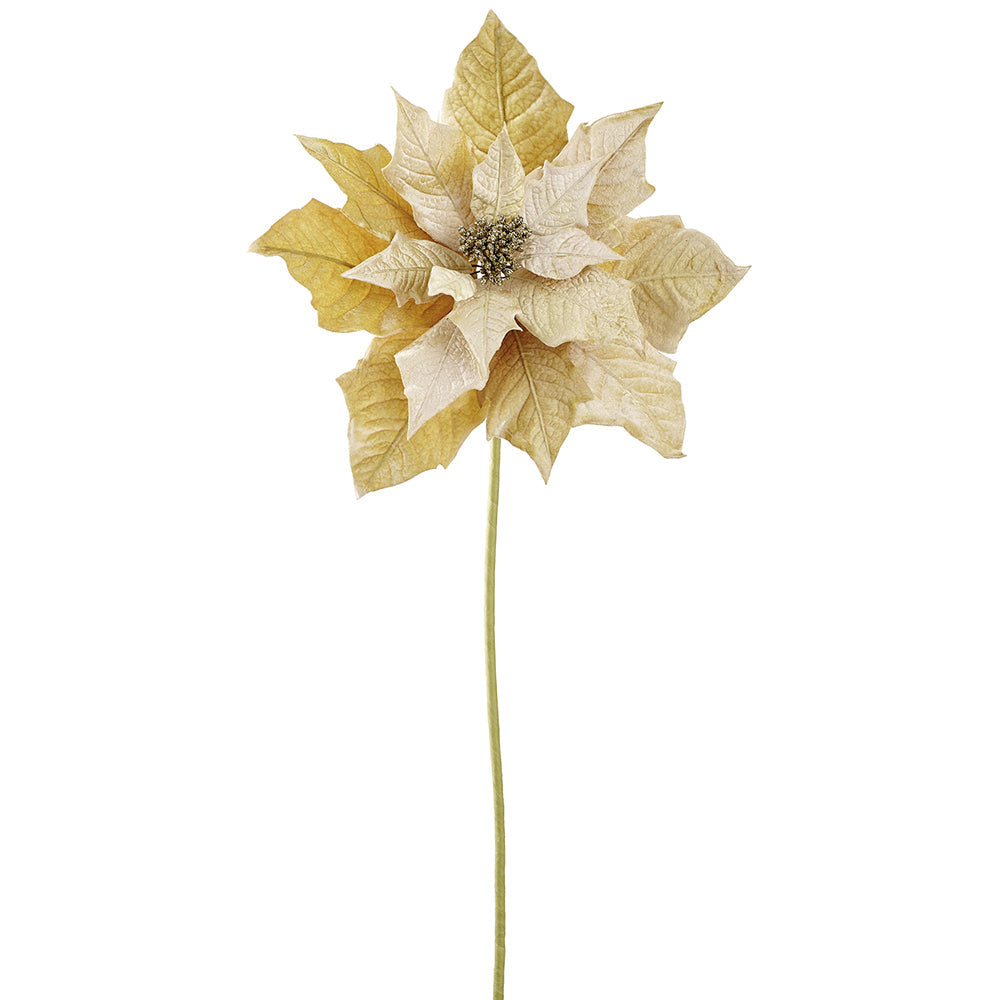 38" Velvet Poinsettia Artificial Flower Stem -Gold (Pack of 12) - XPS416-GO