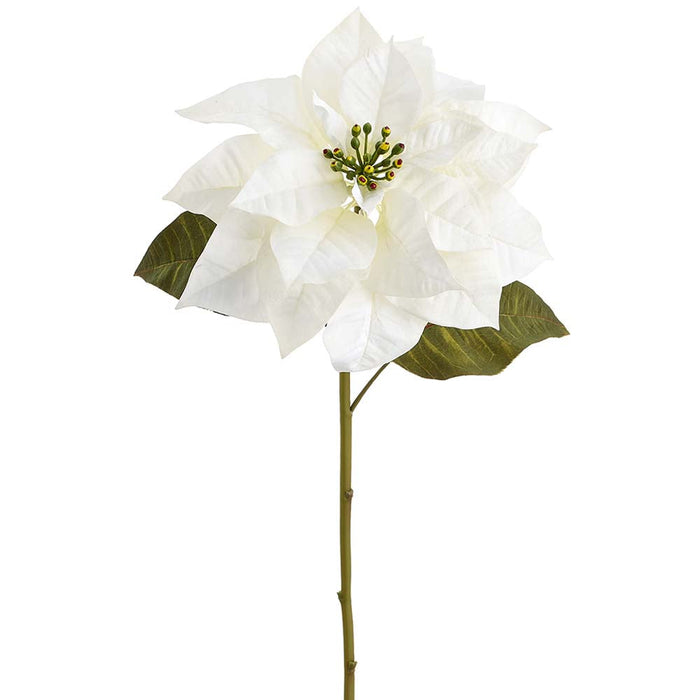 30" Velvet Poinsettia Artificial Flower Stem -White (Pack of 12) - XPS497-WH