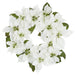24" Poinsettia Flower Silk Wreath -Cream (Pack of 4) - XPW498-CR