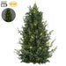 23" Flocked Artificial Cedar Cone-Shaped Topiary, Battery LED Pre-Lit -Green/White (Pack of 2) - YRC249-GR/WH