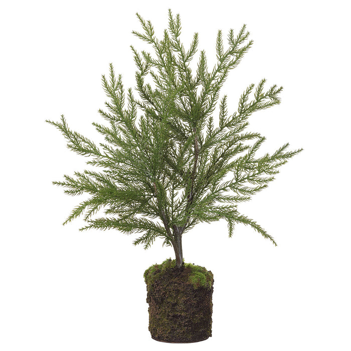 18" Artificial Spruce Tree w/Soil & Moss -Green (Pack of 4) - YTM283-GR