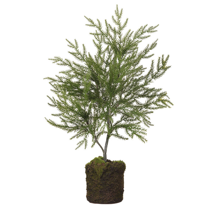 24" Artificial Spruce Tree w/Soil & Moss -Green (Pack of 4) - YTM284-GR