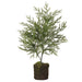 24" Artificial Spruce Tree w/Soil & Moss -Green (Pack of 4) - YTM284-GR