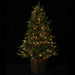 5'Hx38"W PE Russian Pine LED-Lighted Artificial Tree w/Planter -Green - YTP155-GR