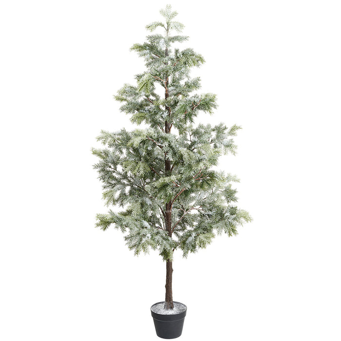 5'2" Snowed Artificial Norfolk Pine Tree w/Pot -White/Green - YTP425-WH/GR