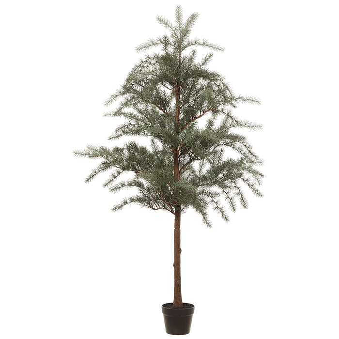 5' Artificial Pine Tree w/Pot -Green/Gray (pack of 2) - YTP571-GR/GY