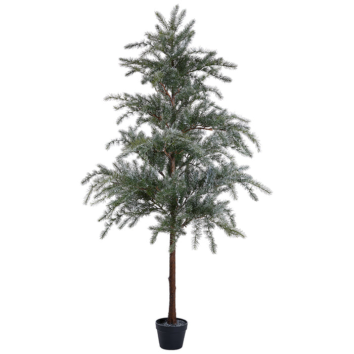 6' Flocked Artificial Pine Tree w/Pot -Green/White - YTP572-GR/WH