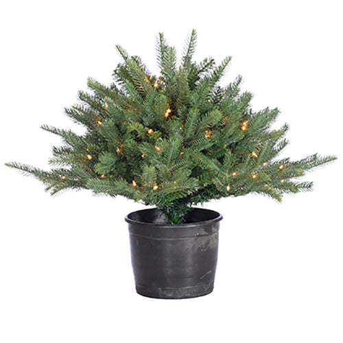 28"Hx36"W PE Desert Pine Lighted Artificial Tree w/Pot -Green (pack of 2) - YTP758-GR