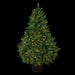 5'Hx43"W Cedar Artificial Tree w/Plastic Pot, LED Pre-Lit -Green - YTPC92-60/LD