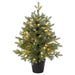 24"Hx21"W Norway Fir Artificial Tree w/Plastic Pot, LED Pre-Lit -Green - YTPN92-24/LD