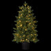 36"Hx24"W Norway Fir Artificial Tree w/Plastic Pot, LED Pre-Lit -Green - YTPN92-36/LD