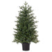 36"Hx24"W Norway Fir Artificial Tree w/Plastic Pot, LED Pre-Lit -Green - YTPN92-36/LD