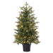 36"Hx24"W Norway Fir Artificial Tree w/Plastic Pot, LED Pre-Lit -Green - YTPN92-36/LD