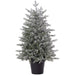 36"Hx24"W Flocked Norway Fir Artificial Tree w/Plastic Pot, LED Pre-Lit -Green - YTPS92-36/LD