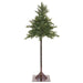 6'Hx33"W Mountain Fir Artificial Tree, Pre-Lit -Green - YTQ606-GR