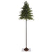 10'Hx40"W Mountain Fir Artificial Tree, Pre-Lit -Green - YTQ610-GR