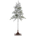 6'Hx37"W Flocked Pine Artificial Tree, Pre-Lit -Green - YTZ506-WH