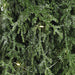 26" Flocked Artificial Cedar Wreath, Battery LED Pre-Lit -Green/White - YWC248-GR/WH