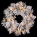 24" Flocked Pine Artificial Wreath, LED Pre-Lit (Multi-Mode) -Green/Snow (Pack of 2) - YWP421-GR/SN