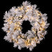 30" Flocked Pine Artificial Wreath, LED Pre-Lit (Multi-Mode) -Green/Snow (Pack of 2) - YWP422-GR/SN
