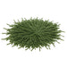 26" Wide Holiday Artificial Willow Pine Oval Placement -Green (Pack of 6) - YZ7467-GR