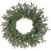 24" Artificial Noble Fir Wreath, LED Pre-Lit -Green (Pack of 12) - YZNBAW-24/LD