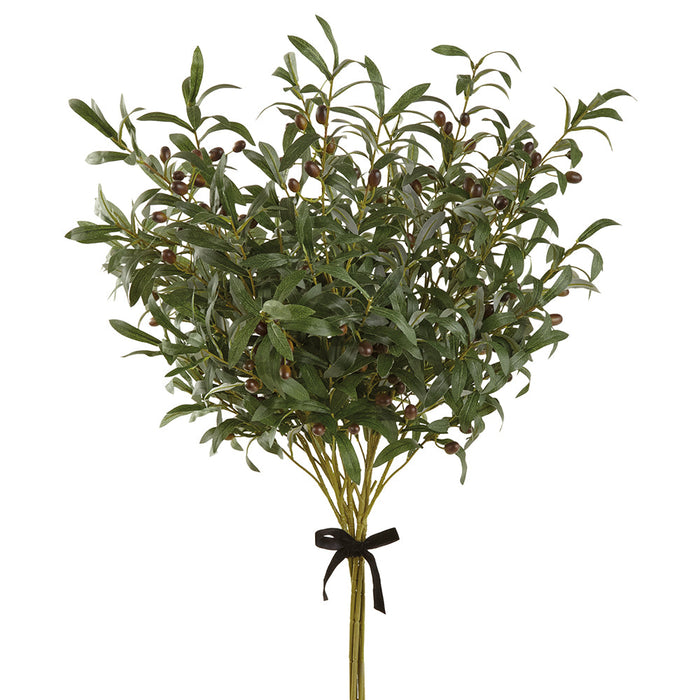 39" Silk Olive Leaf Stem Bundle With Olives -Green/Plum (pack of 2) - ZBO629-GR/PL