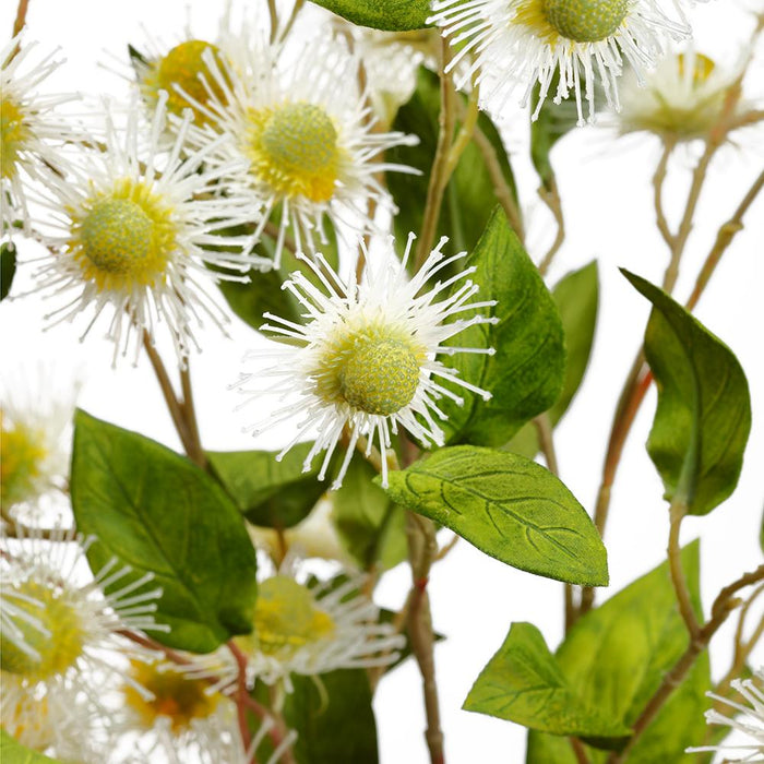 39" Chinese Buttonbush Silk Flower Stem Bundle -Cream - ZBP014-CR