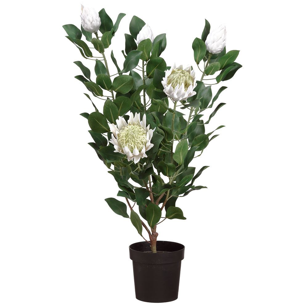 protea plant in pot 47" Artificial Blooming King Protea Flower Plant w/Pot -Cream