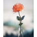 23.5" Leucospermum Protea Silk Flower Stem -Orange (Pack of 6) - ZGB937-OR