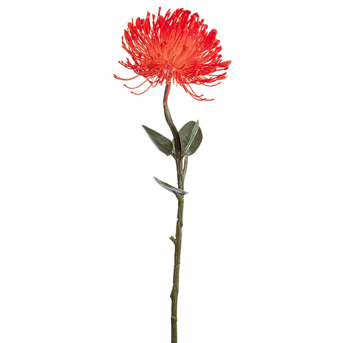 23.5" Leucospermum Protea Silk Flower Stem -Orange (Pack of 6) - ZGB937-OR