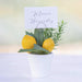 6" Lemon Silk Arrangement w/Paper Pot & Card Holder -Yellow (Pack of 6) - ZGB971-YE