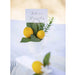 6" Lemon Silk Arrangement w/Paper Pot & Card Holder -Yellow (Pack of 6) - ZGB971-YE
