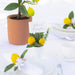 6" Lemon Silk Arrangement w/Paper Pot & Card Holder -Yellow (Pack of 6) - ZGB971-YE