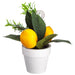 6" Lemon Silk Arrangement w/Paper Pot & Card Holder -Yellow (Pack of 6) - ZGB971-YE