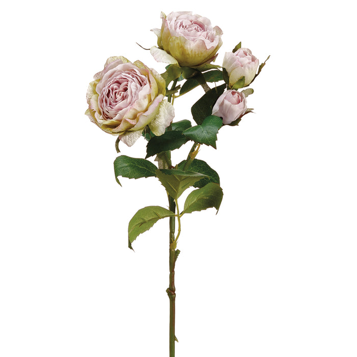 15.5" Cabbage Rose Silk Flower Stem -Lilac/Green (pack of 12) - ZGS019-LI/GR