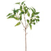 26" Silk Ruscus Leaf Stem -Green (pack of 12) - ZGS038-GR