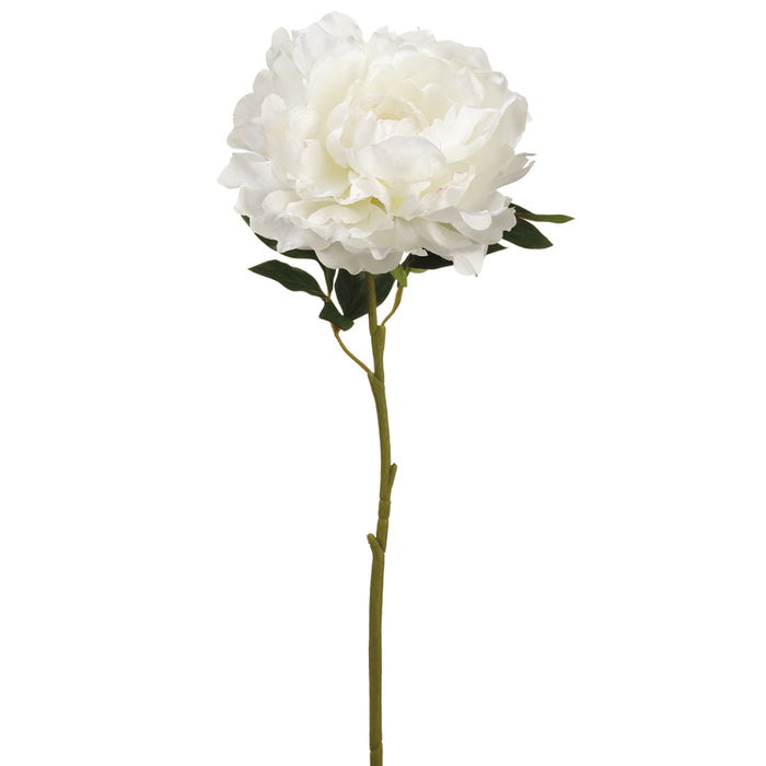 23" Peony Silk Flower Stem -White (pack of 12) - ZGS080-WH