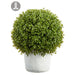 17.5" Artificial Boxwood Ball-Shaped Topiary w/Clay Pot -Green - ZPB017-GR