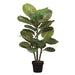 3' Large Leaf Rubber Silk Tree w/Pot -Green - ZPR213-GR