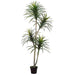 6' Yucca Silk Tree w/Pot -Green/Burgundy - ZPY182-GR/BU