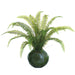 12" Sword Fern Leaf Silk Plant w/Glass Vase -Green - ZQF321-GR