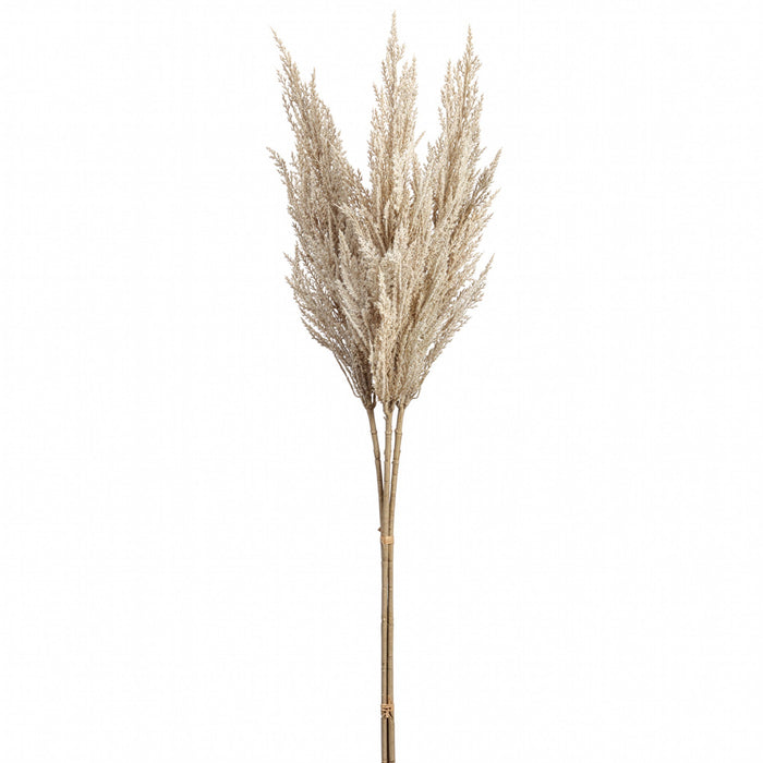 37" Artificial Pampas Grass Stem Bundle -Cream (Pack of 4) - ZSG544-CR